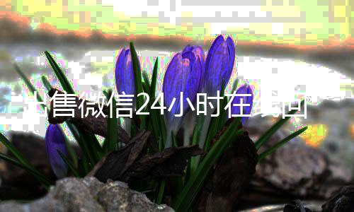出售微信24小时回收vx秒结白号在线回收（回收快手号秒结账）