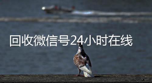 回收微信号24小微信回收高价秒结平台时在线秒结（回收微信号平台官网）