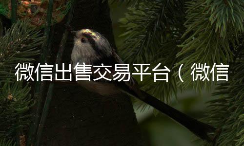 微信出售交易高价收微信号秒结平台（微信出售是真的吗）